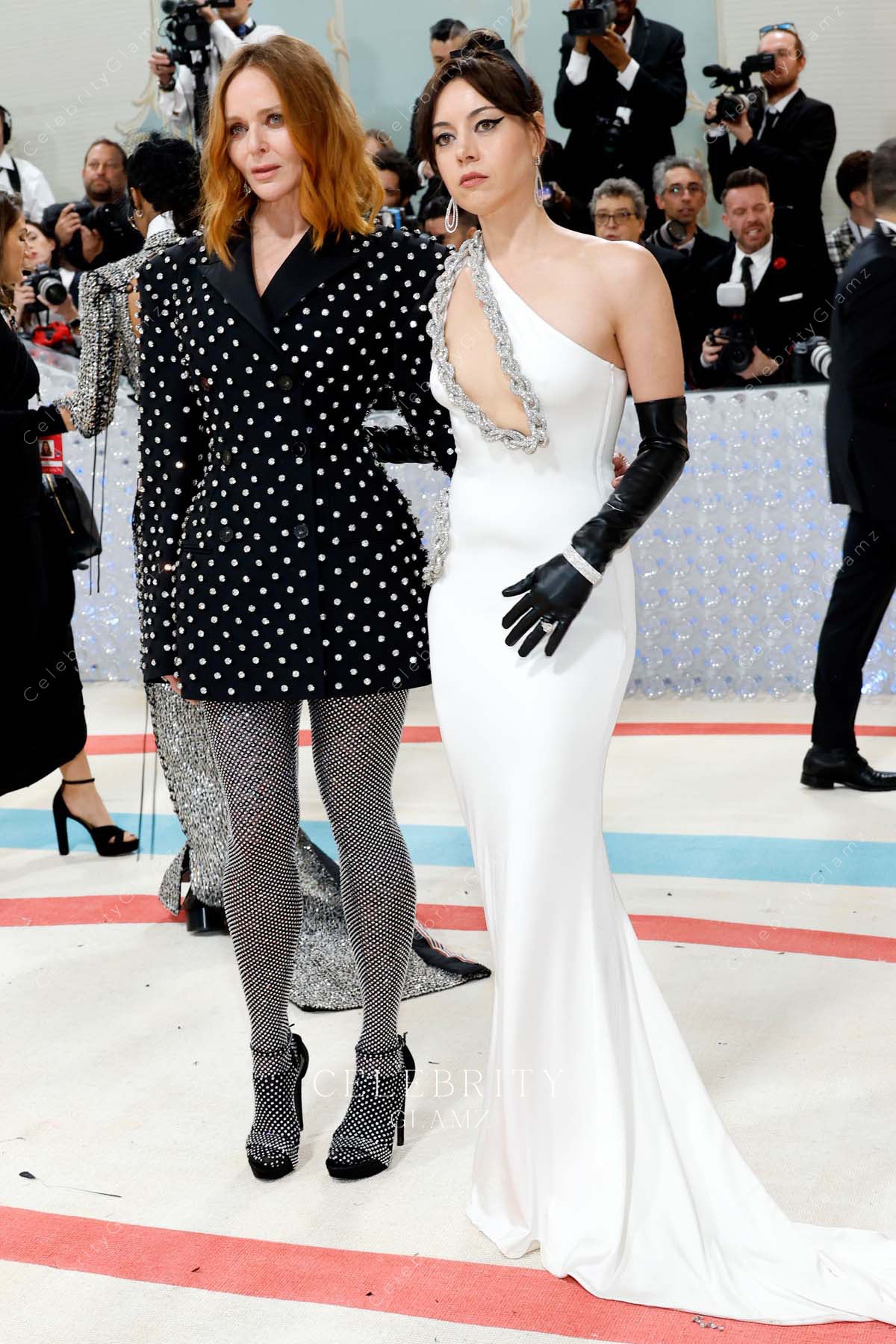 Aubrey Plaza fit flare met gala 2023 dress