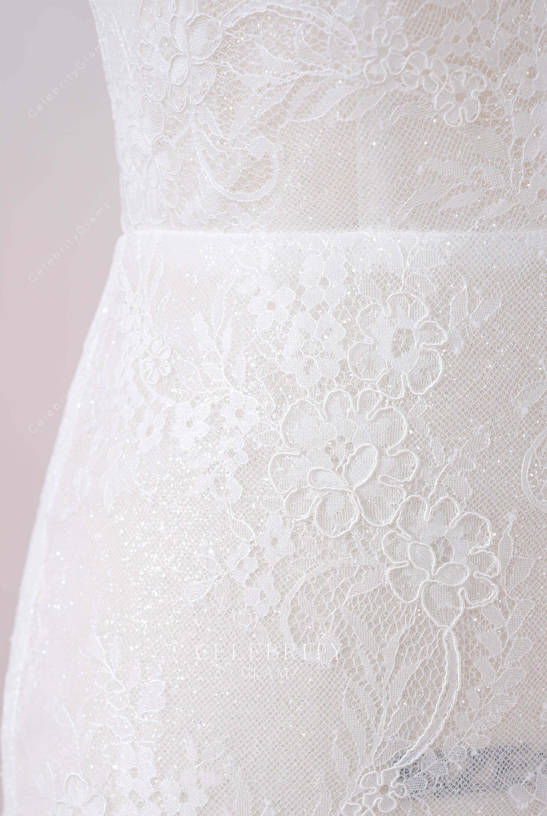 delicate lace bridal dress
