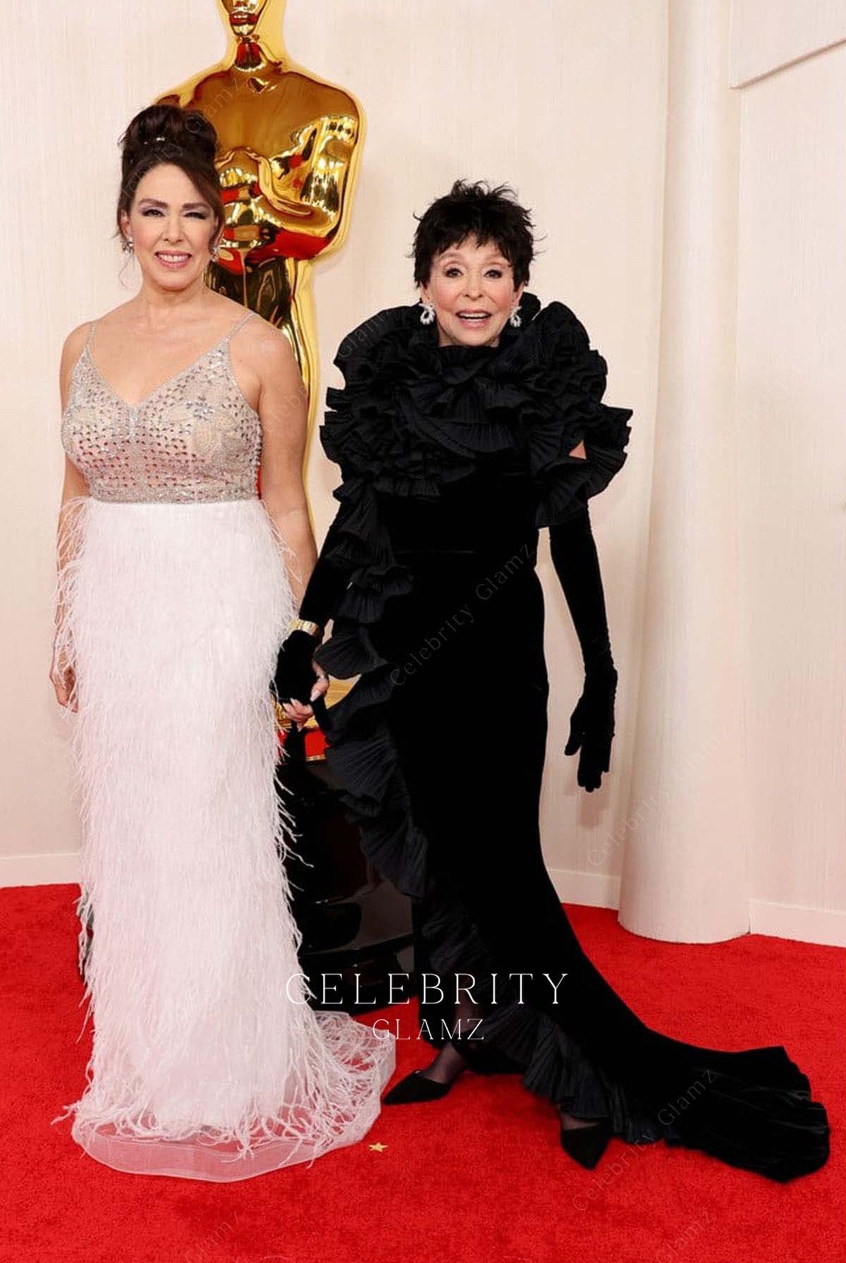 Fernanda Luisa Gordon feathered prom dress 2024 Oscars red carpet