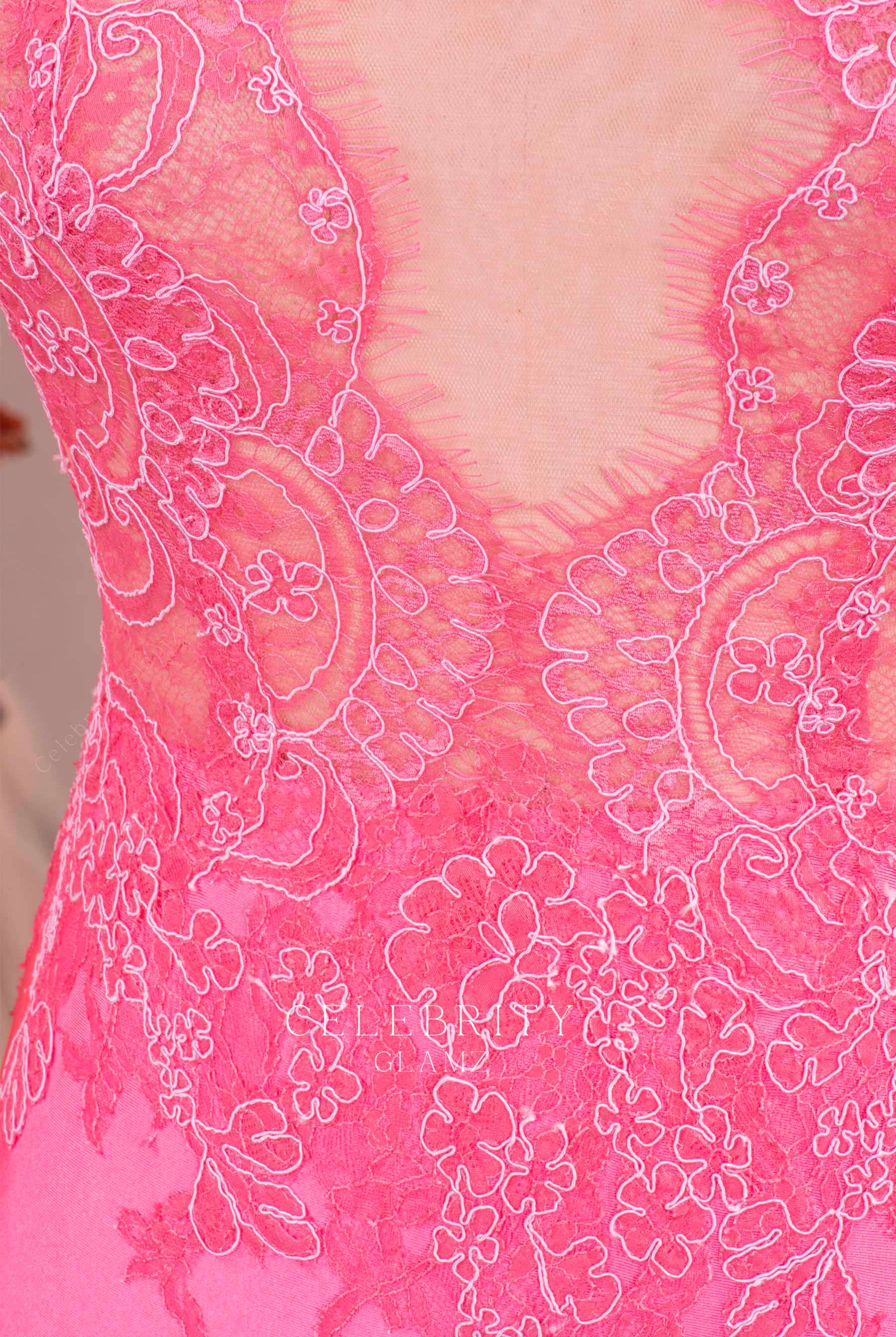 flamingo delicate lace prom dress