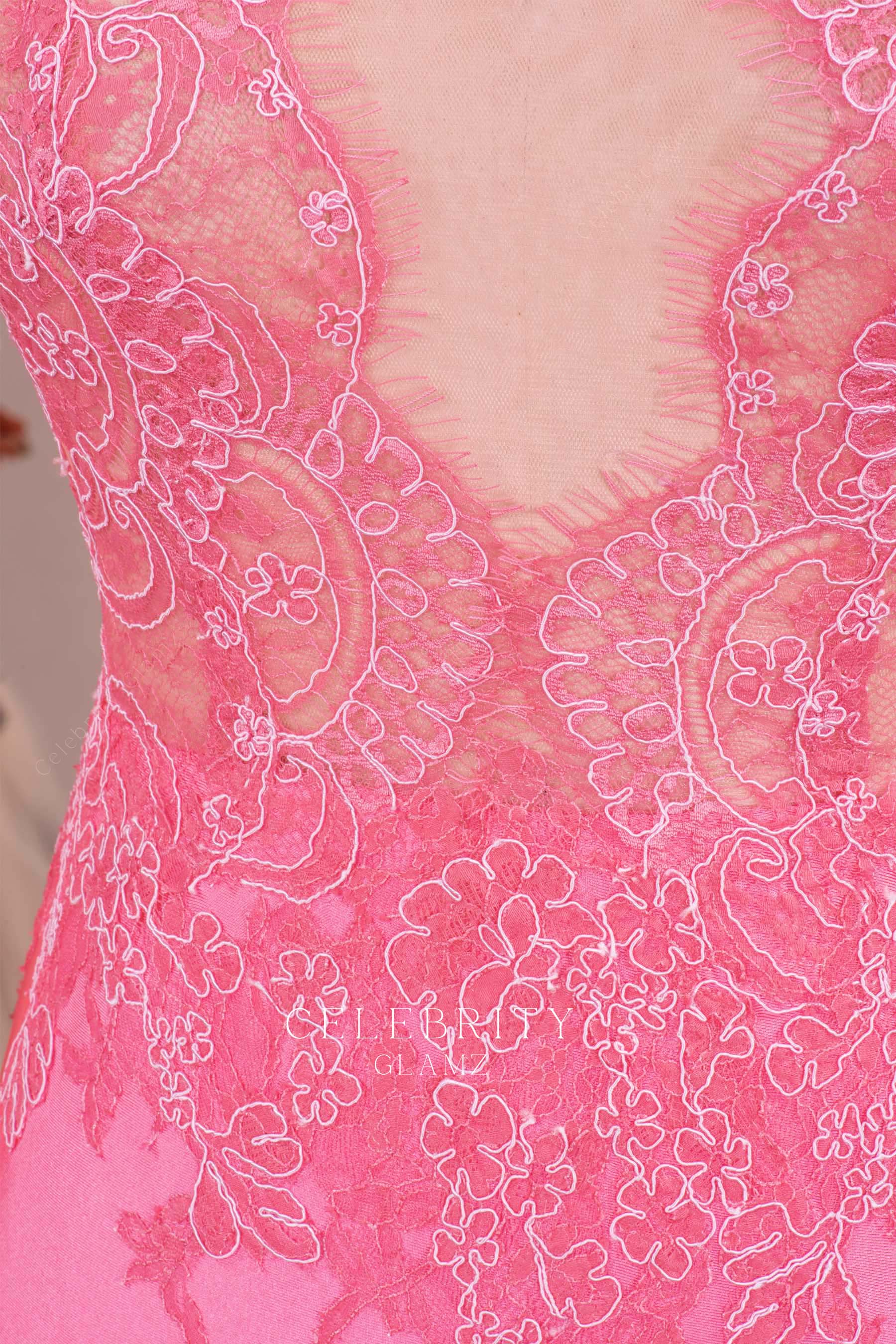 flamingo delicate lace prom dress