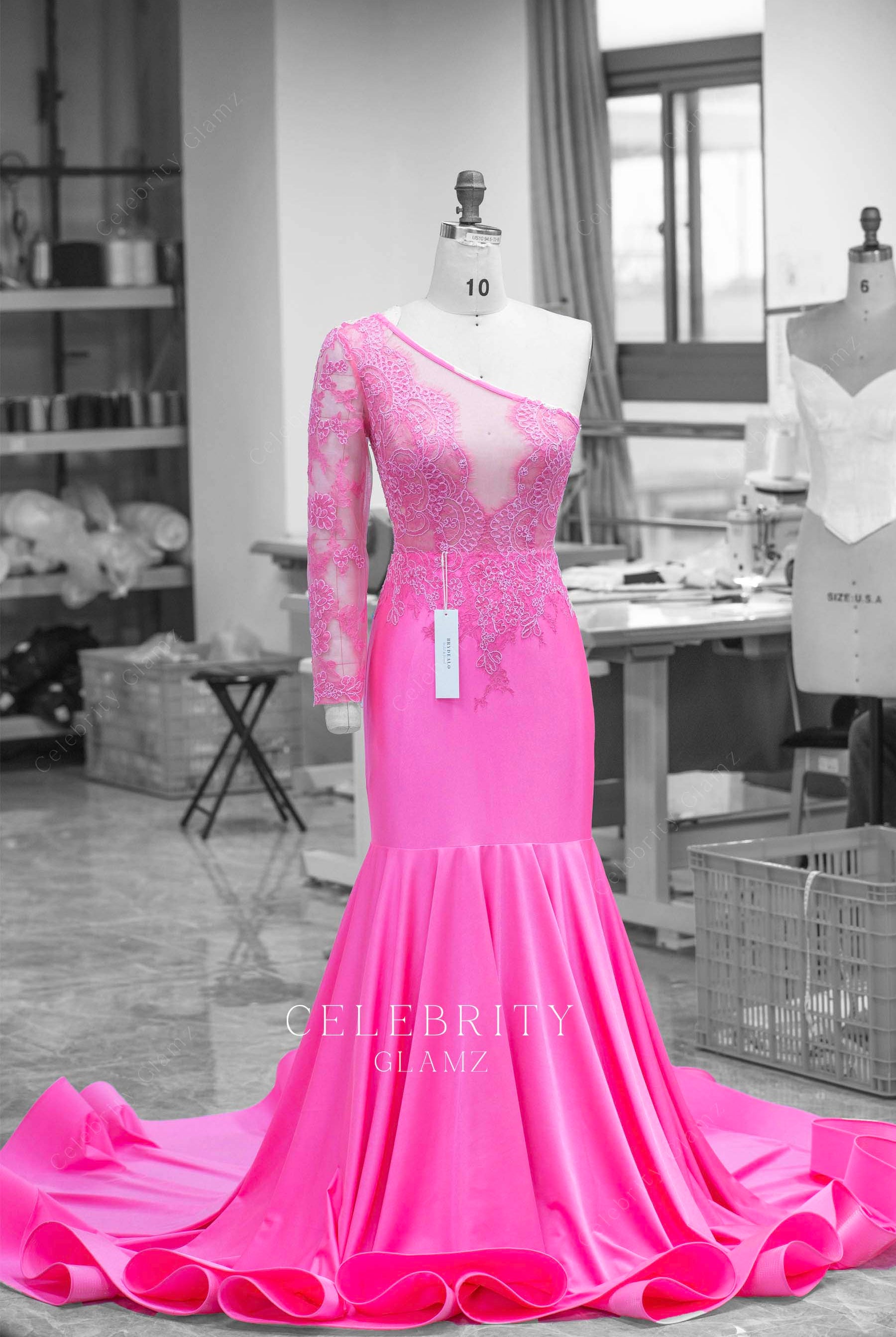 flamingo illusion lace sleeve prom dress