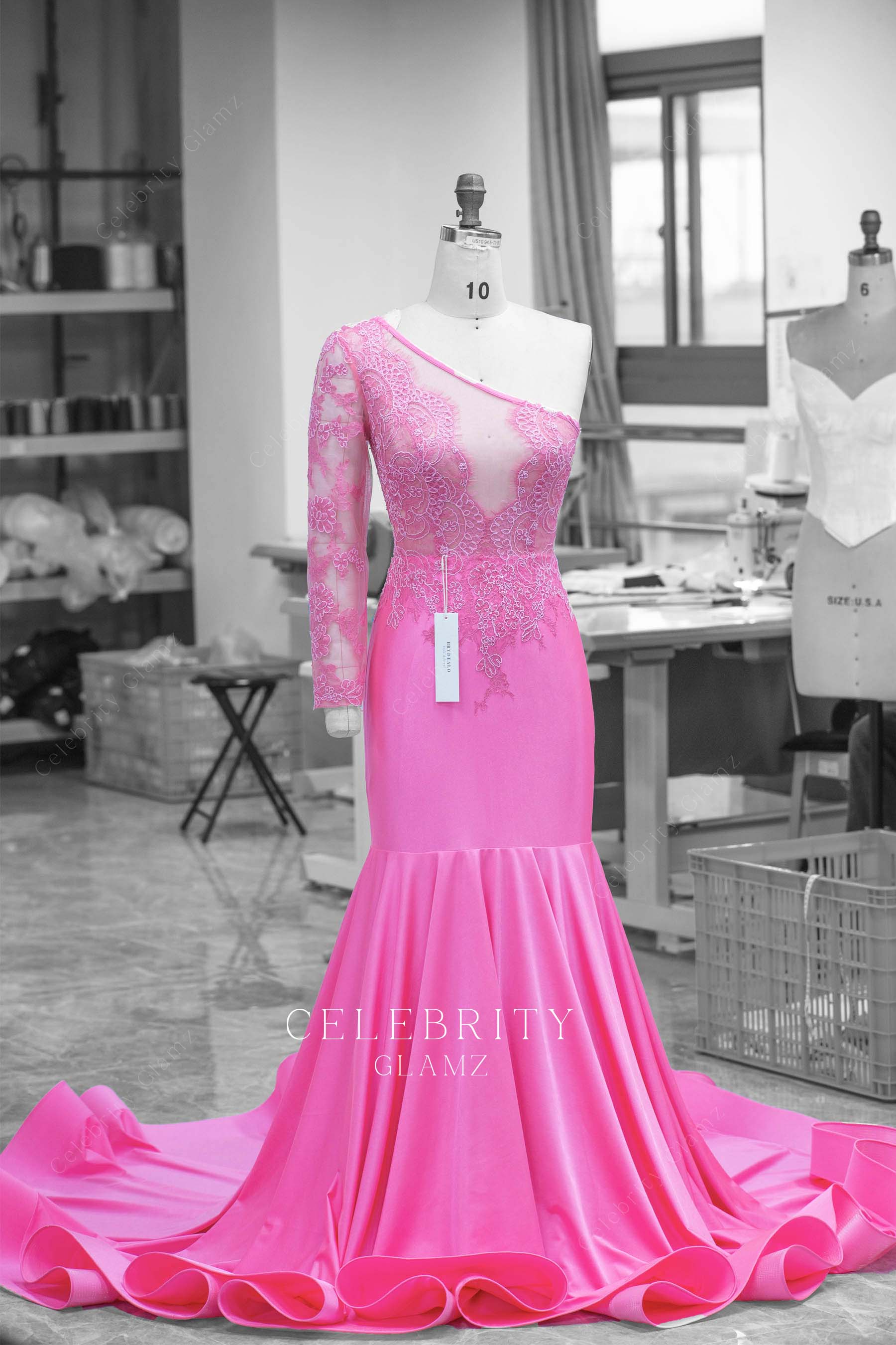 flamingo illusion lace sleeve prom dress