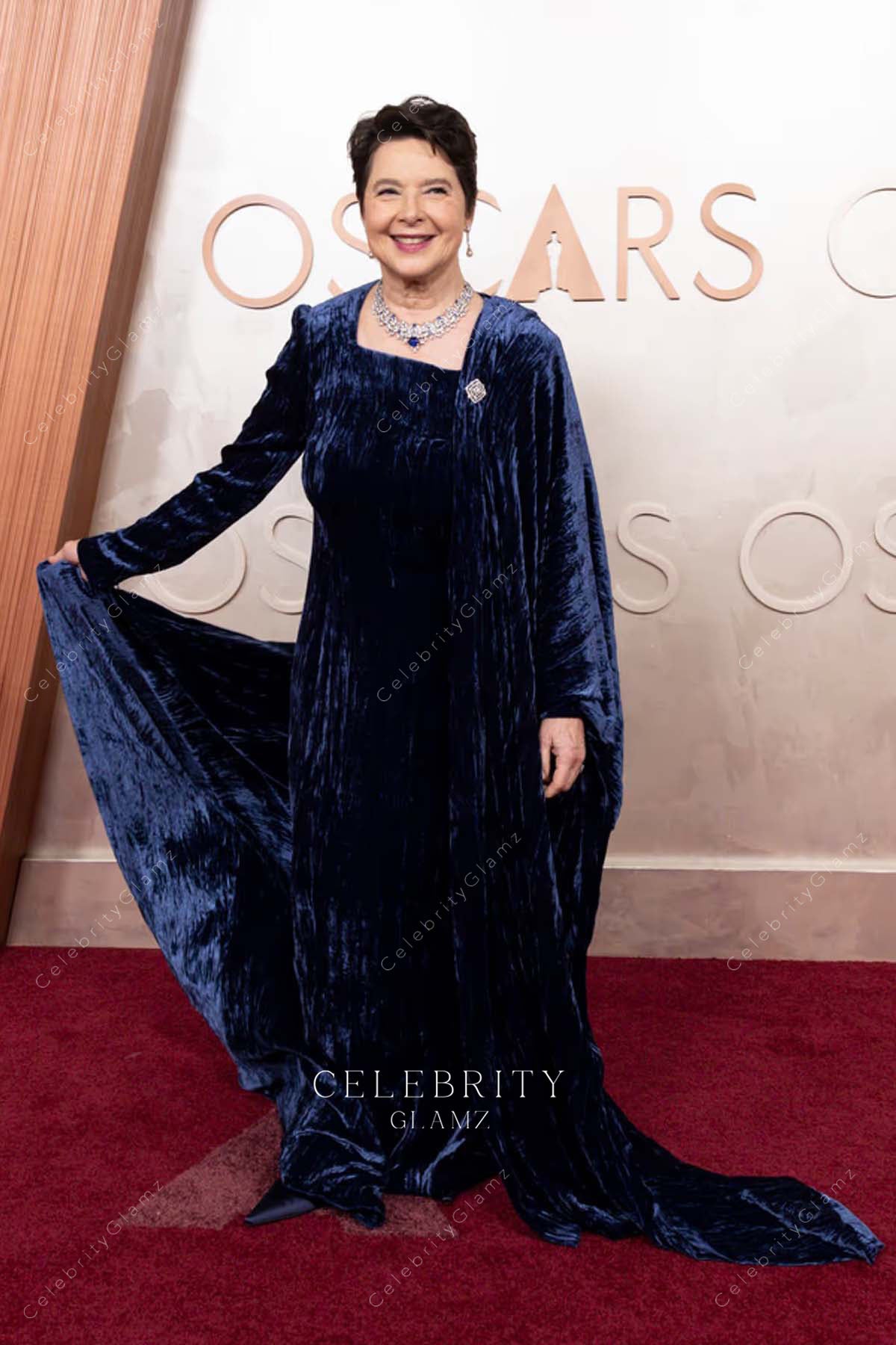 Isabella Rossellini velvet 2025 Oscars red carpet long sleeves prom dress