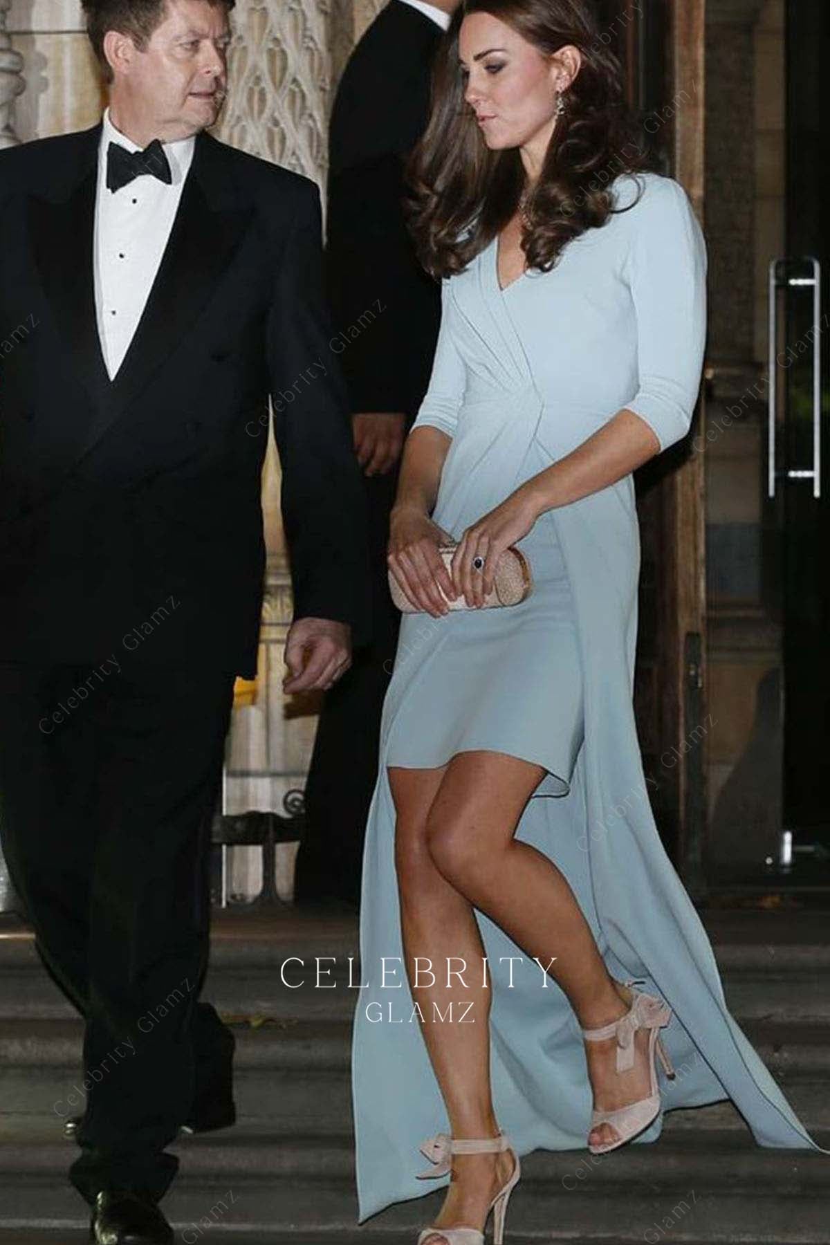 Kate baby blue short sleeves dress 50th annual wildlife photography awards