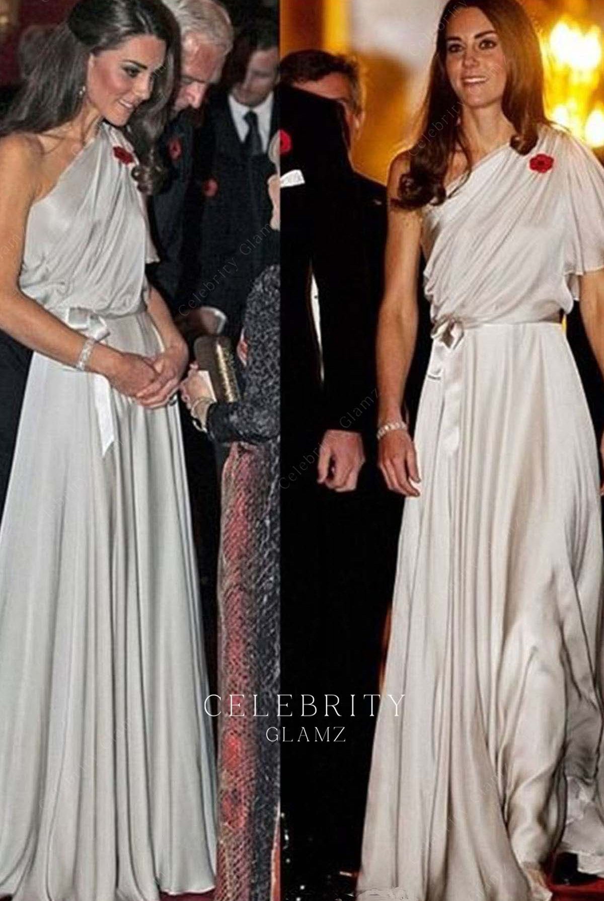 Kate floor length dress NMA reception 2011