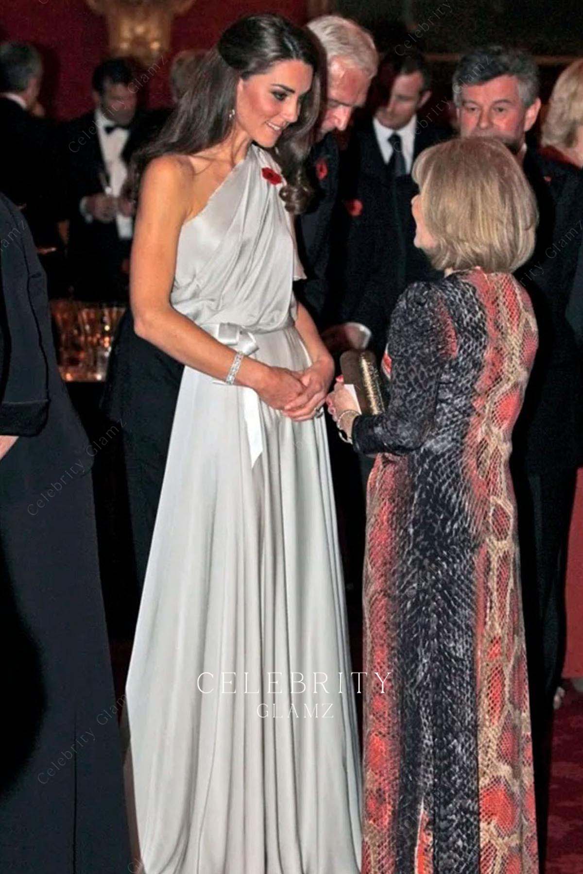 Kate floor length prom dress NMA reception 2011