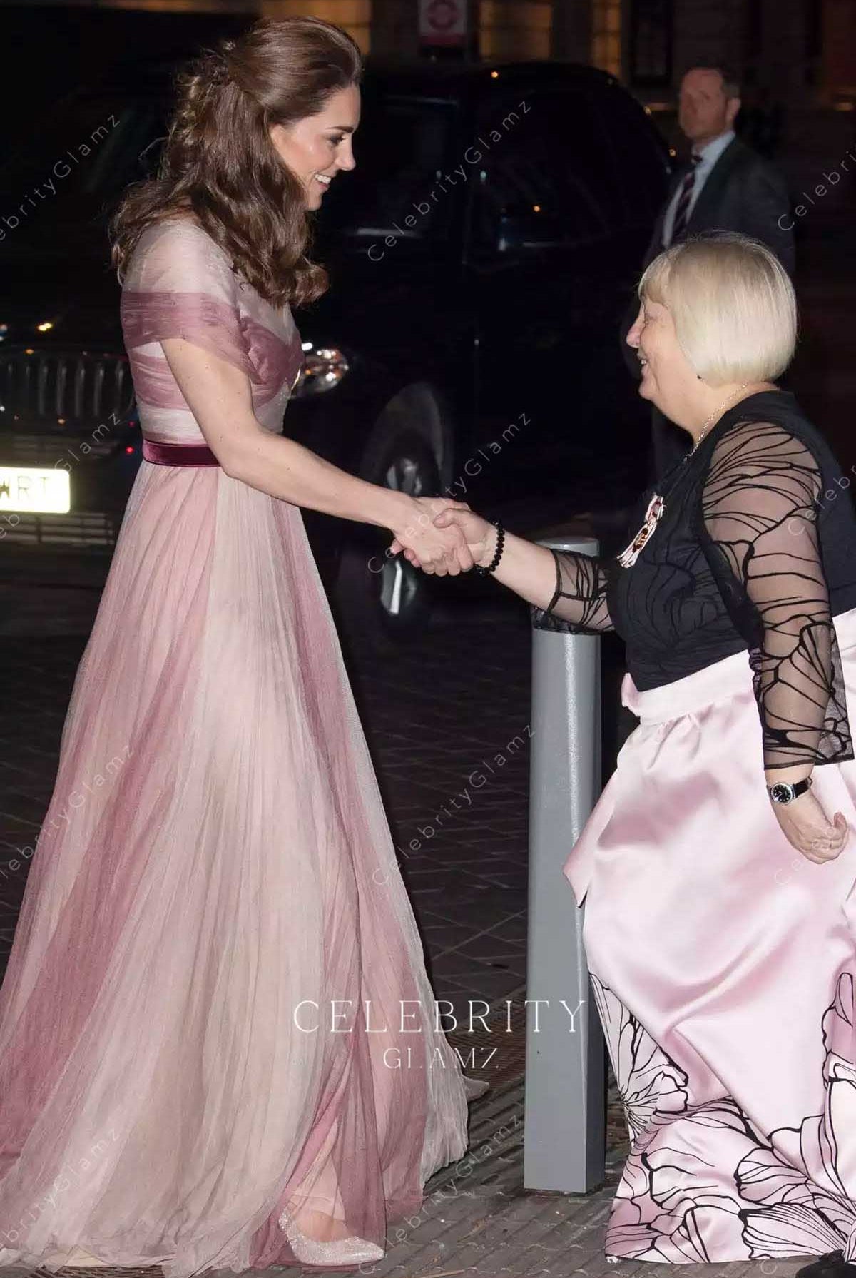 Kate Middleton pink a line gala dinner dress