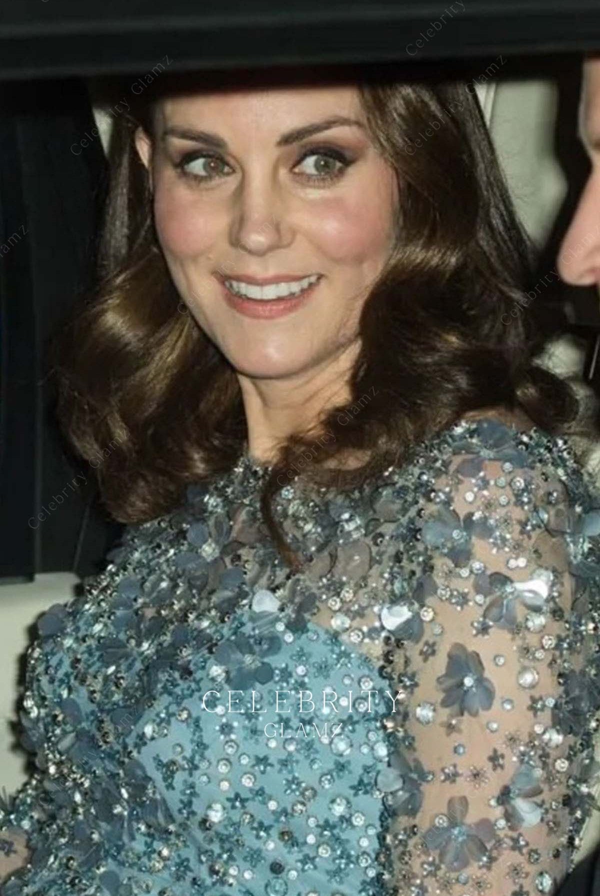 Kate sparkling rhinestones prom dress royal variety show 2017