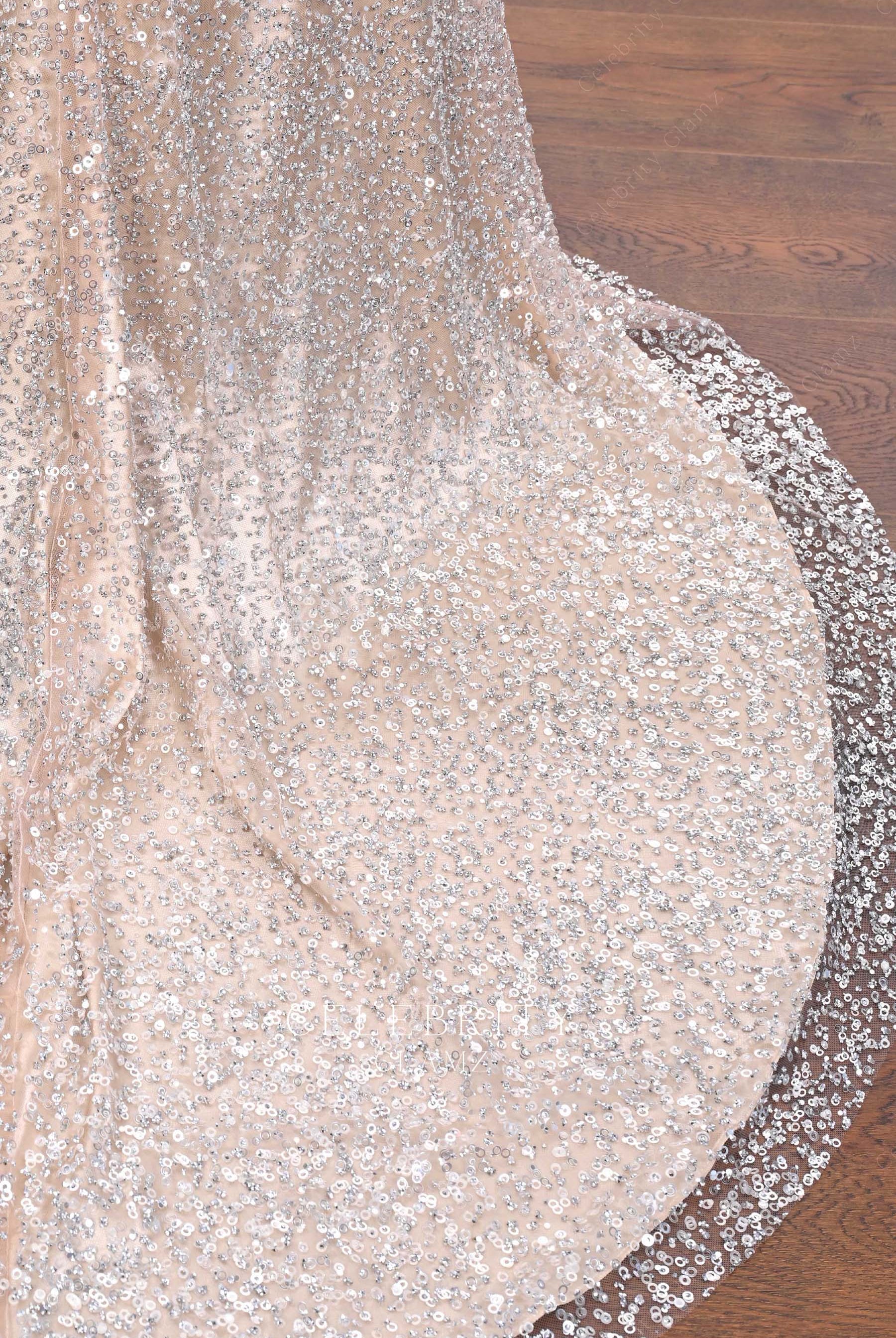 sparkly sequin court train prom dress