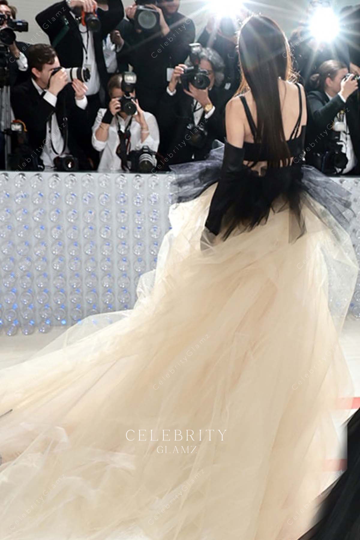 Vera Wang 2023 open back dress met gala