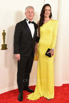 Ana Ivanovic sweep train prom dress 2024 Oscars red carpet