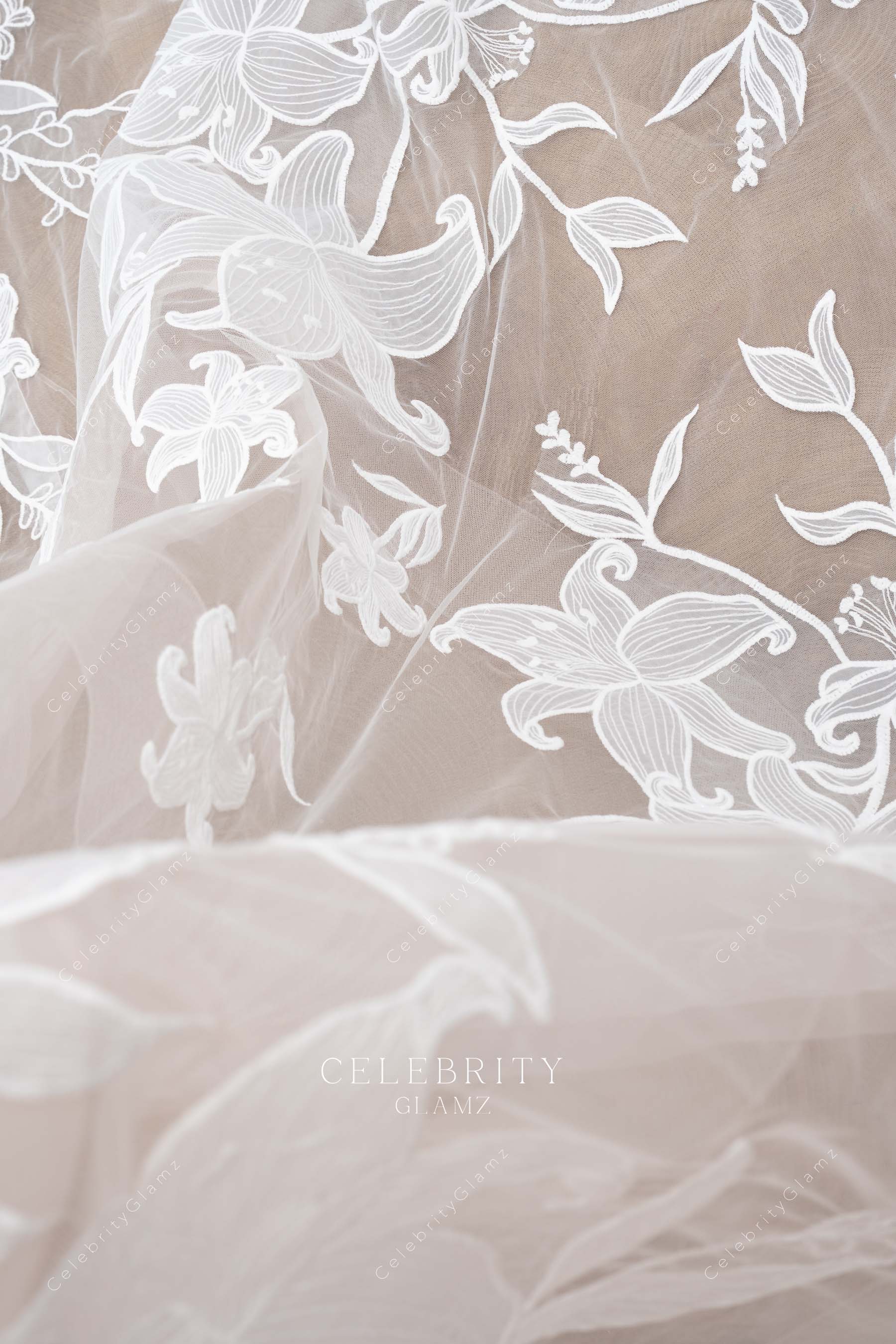 delicate lace wedding dress