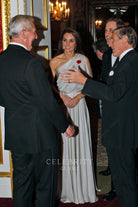 Kate asymmetrical neckline prom  dress NMA reception 2011