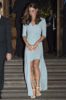 Kate baby blue v neck dress 50th annual wildlife photography awards