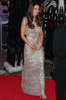 Kate dazzling floor length dress first baby born appearance 2013