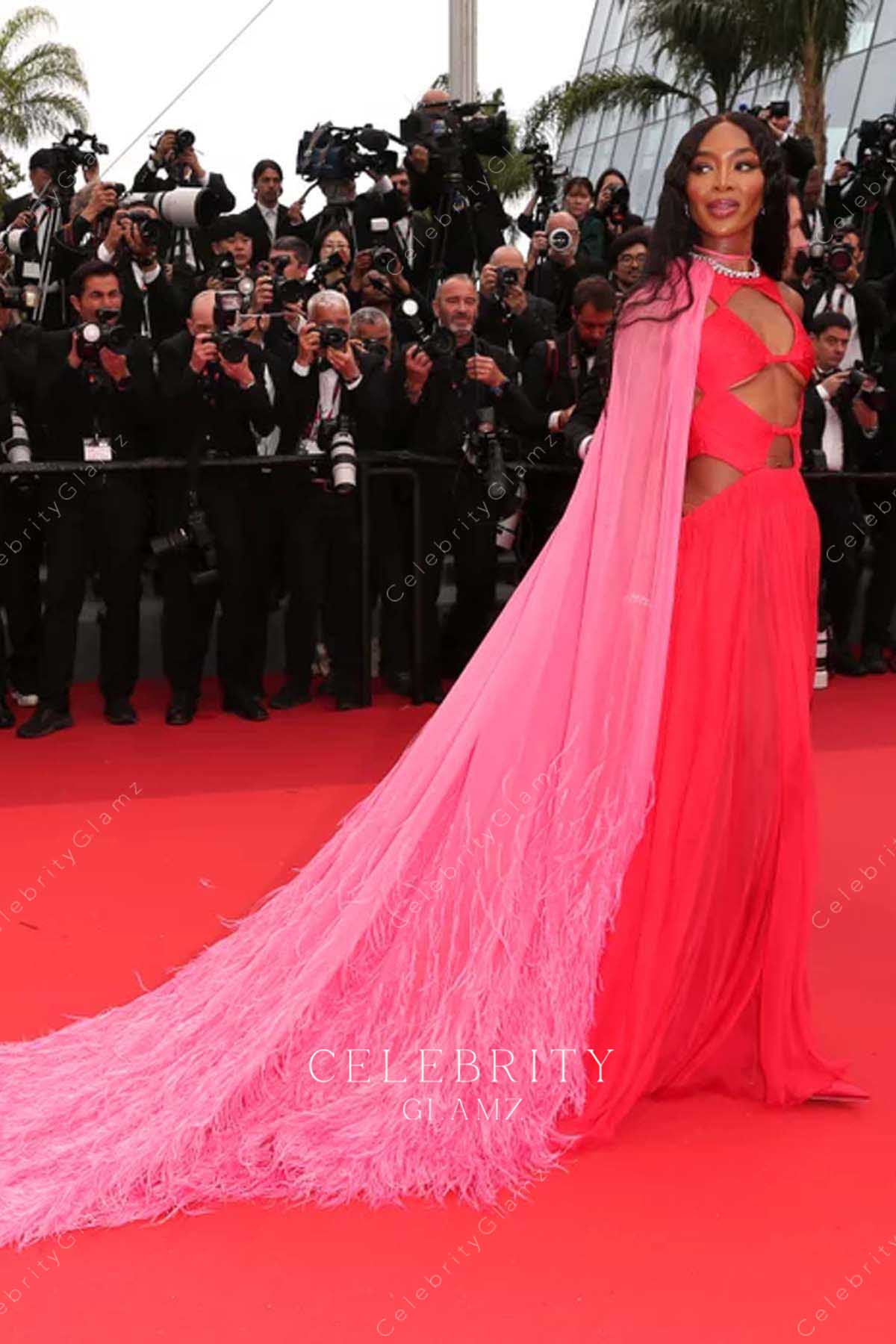 Naomi Campbell cape 2023 Cannes film festival dress