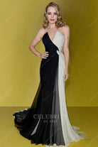 Rachel McAdams v neck Canada walk of fame awards dress 