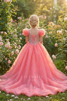 rhinestone flamingo organza a line pageant gown