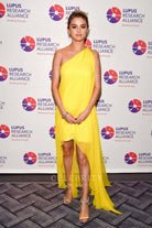 Selena Gomez high to low dress 2017 lupus charity gala